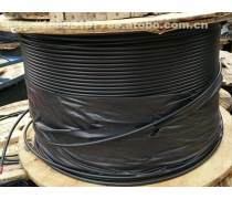 兰州通信电缆与光纤电缆 技术演进与地区发展的重要纽带